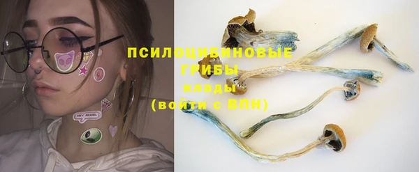 ПСИЛОЦИБИНОВЫЕ ГРИБЫ Армянск