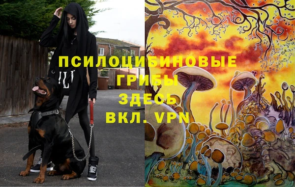 гидропоника Баксан