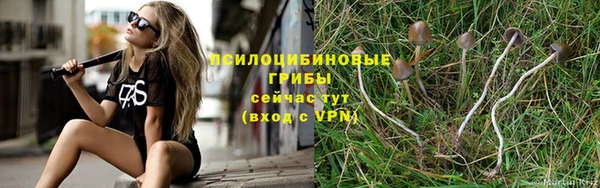 ALPHA PVP Балахна