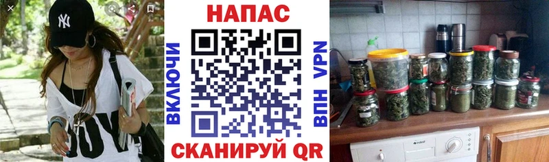 Шишки марихуана сатива  купить закладку  KRAKEN маркетплейс  Оса 
